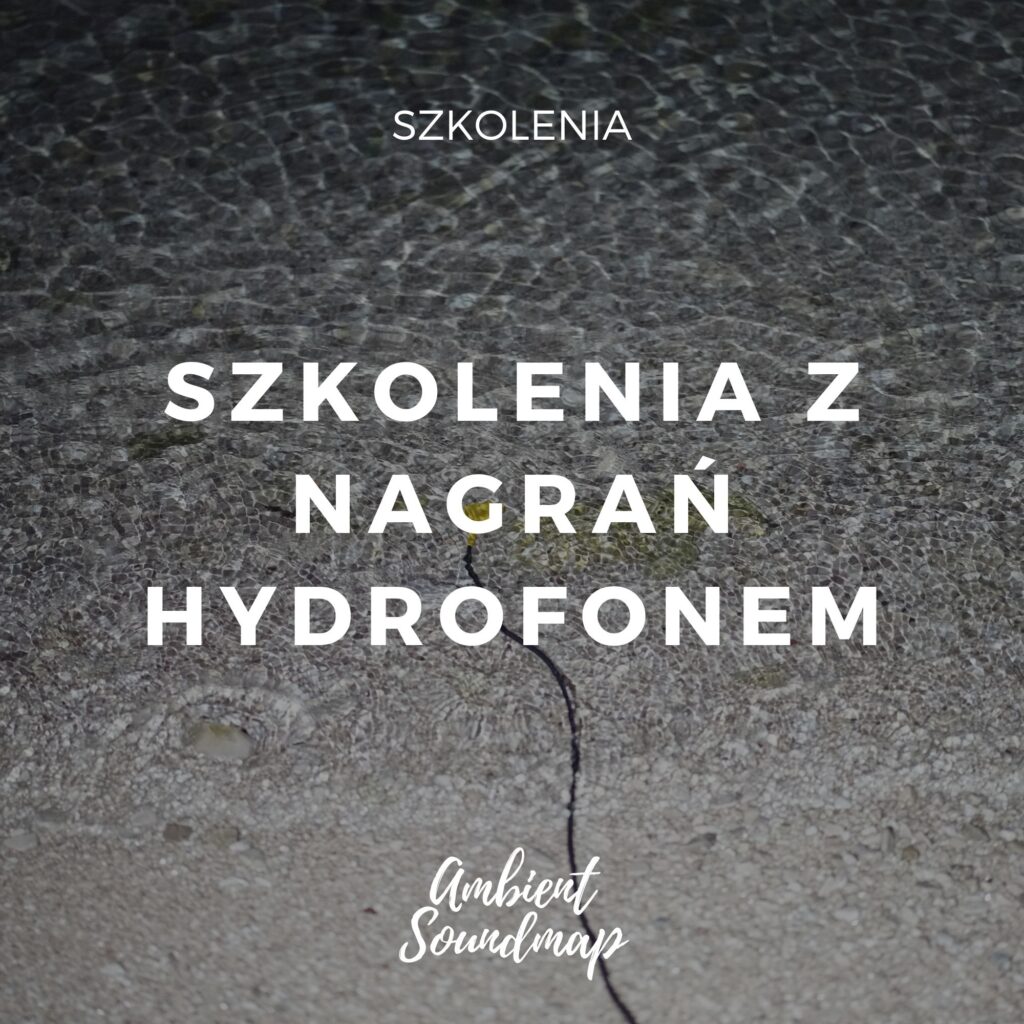 Szkolenia i warsztaty z nagrań hydrofonem