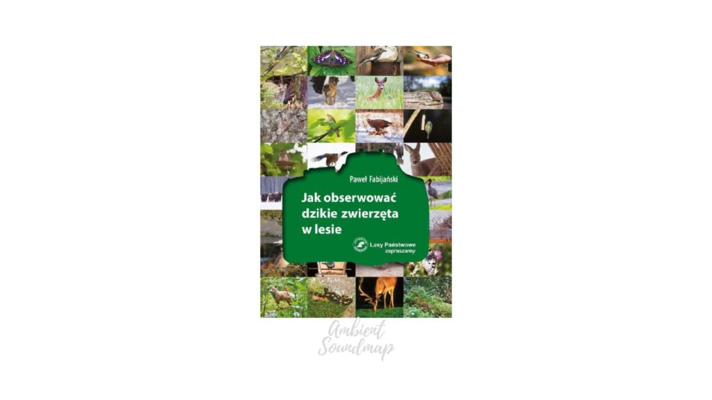 Jak obserwować dzikie zwierzęta w lesie - pobierz darmowy ebook