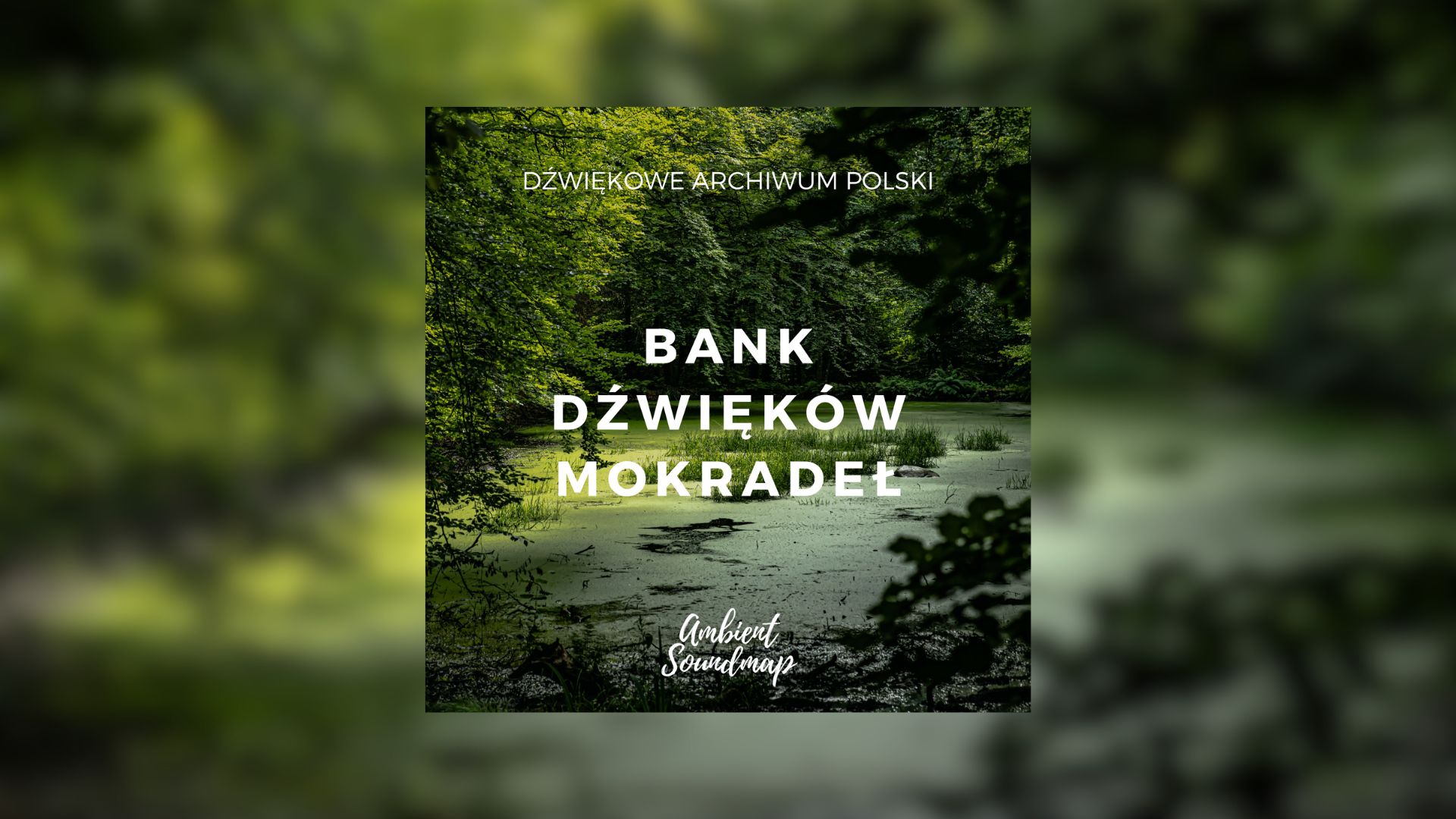 Bank Dźwięków Mokradeł - dźwięki mokradeł Polski